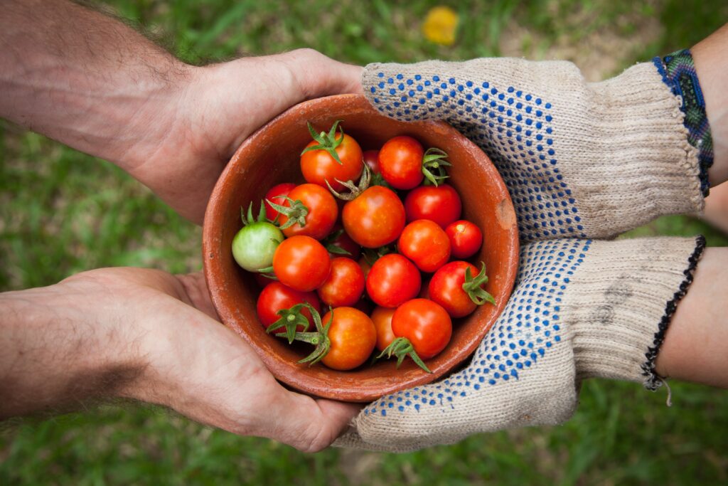 hands passing a bowl of cherry tomatoes
