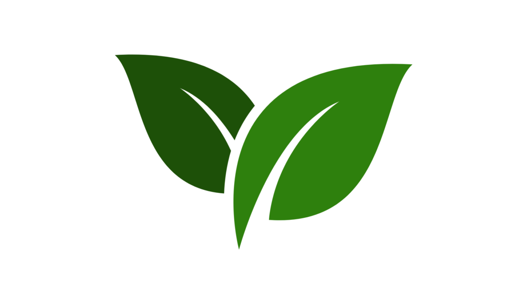 two green leaves graphic