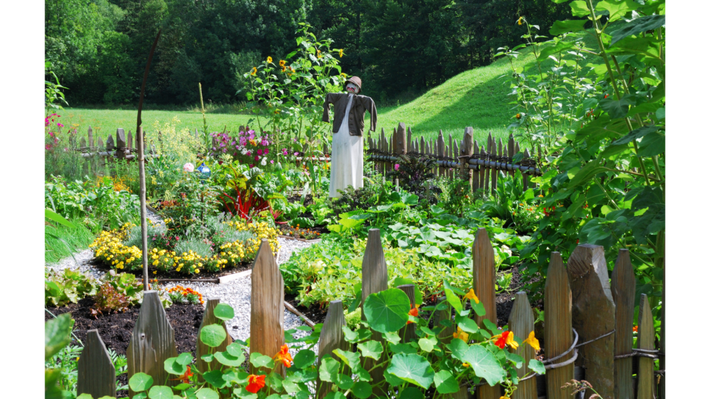 vegetable garden with flowes adn fence