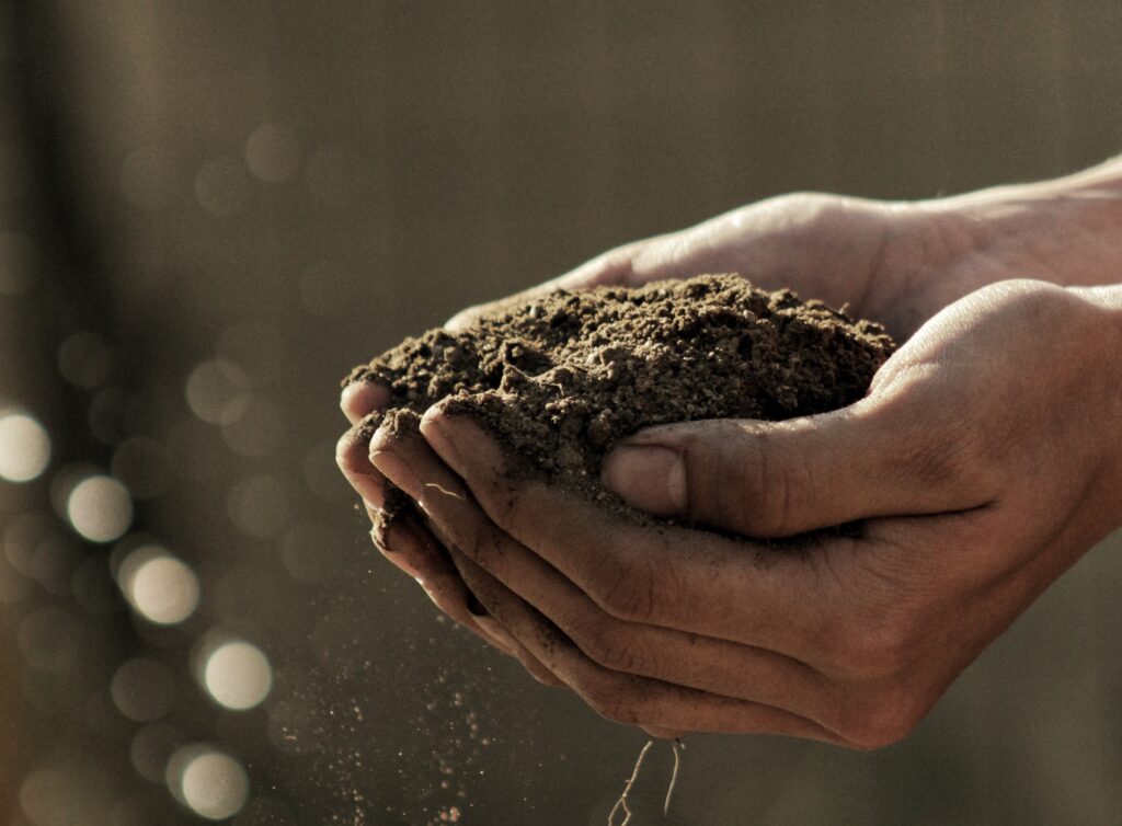 hands holding garden soil