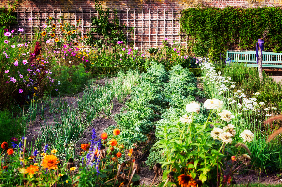 Vegetable and flower garden