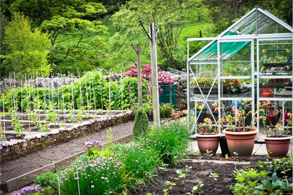 GArden with herbs, rasied beds, containers and greenhouse