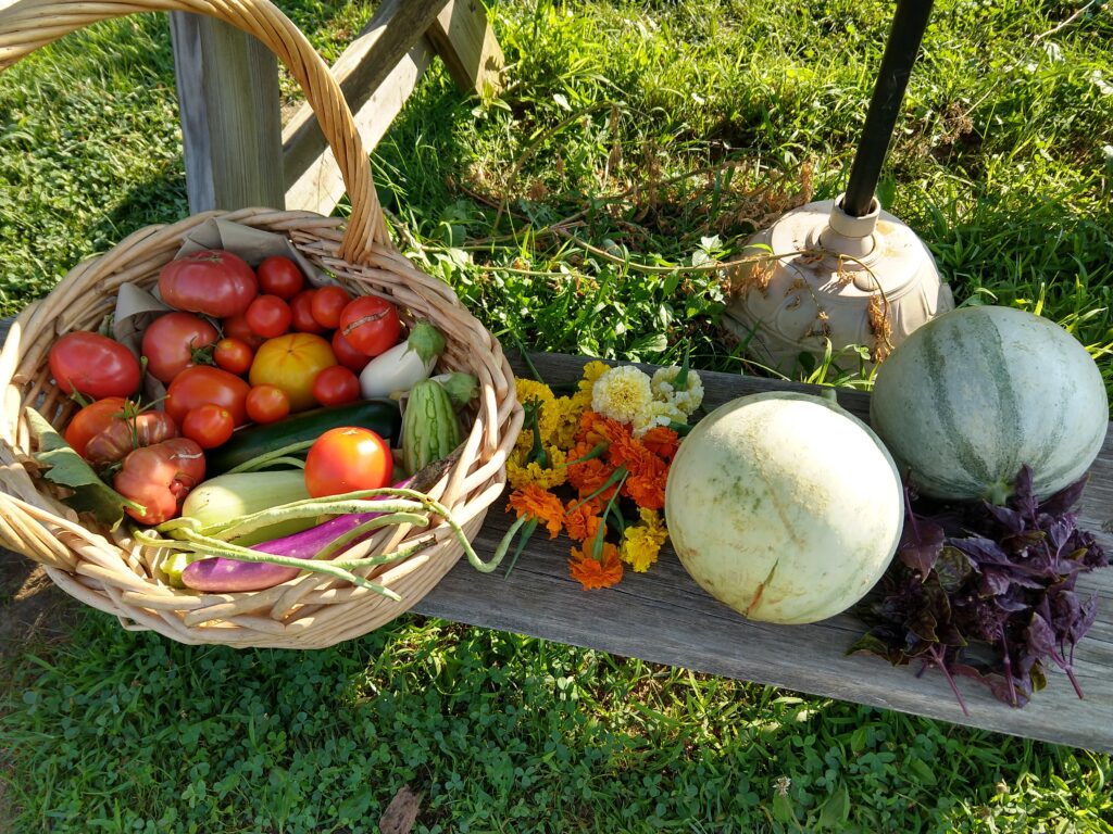 harvest basket with tomatoes, peppers, melons, herbs and flowers
