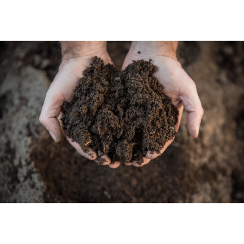 hands-holding-dark-soil