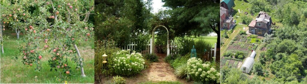 Three photos, one of fruit trees in a home orchard, one of a pretty arched garden gate, path and white flower planting and an areal view of garden beds, house and high tunnel. 