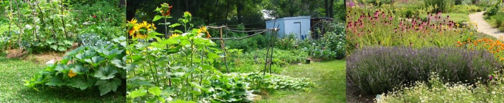 Three images, one of vegetable and flower beds, one of a designed back yard and one of flower beds