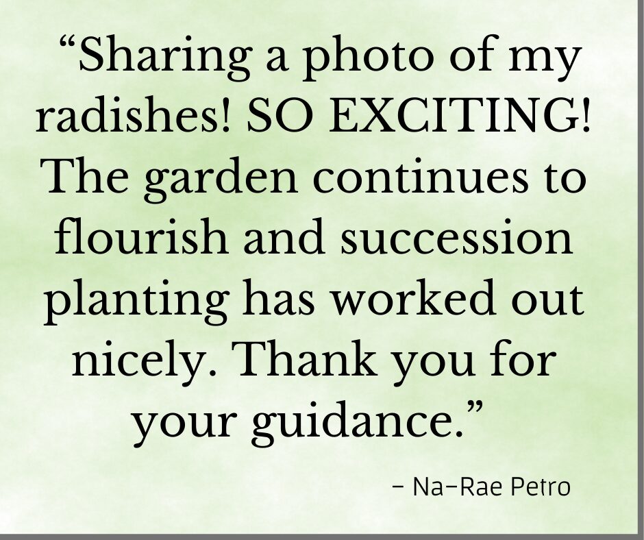 Testimonial for Debby Ward Organic Gardening Coach, "Sharing a photo of my radishes? SO EXCITING! The garden continues to flourish and succession planting ahs worked out nicely. Thank you for your guidance". Na-Rae