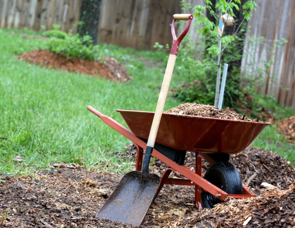 Wheel barrow filled with mulch and shovel in a yard