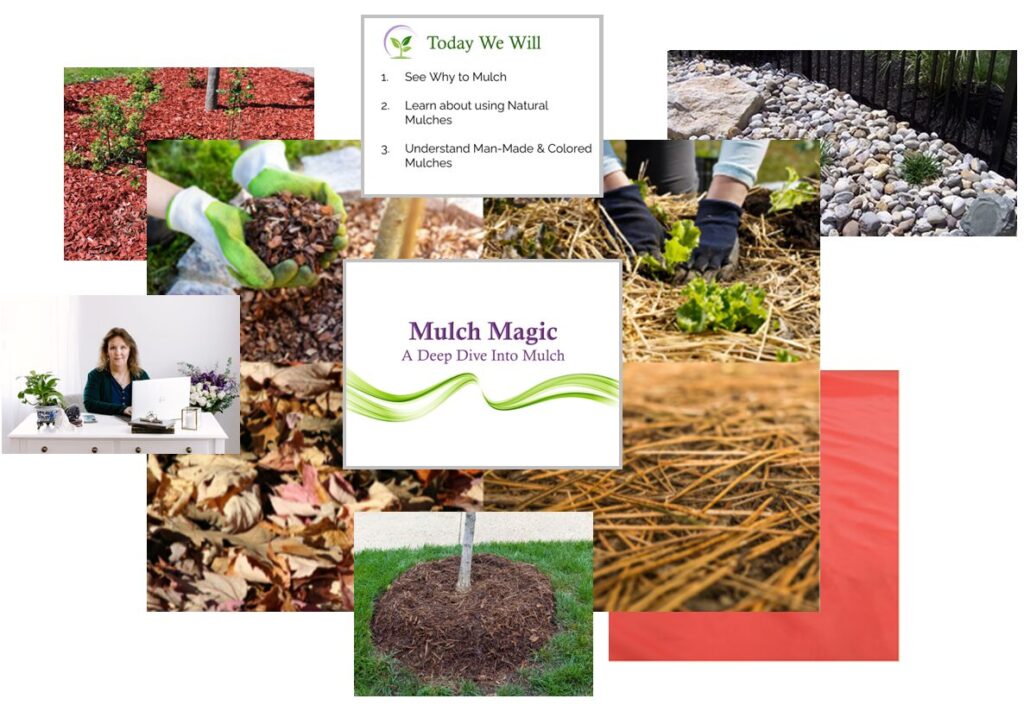 Mulch magic, a deep dive into mulch. What you get image.