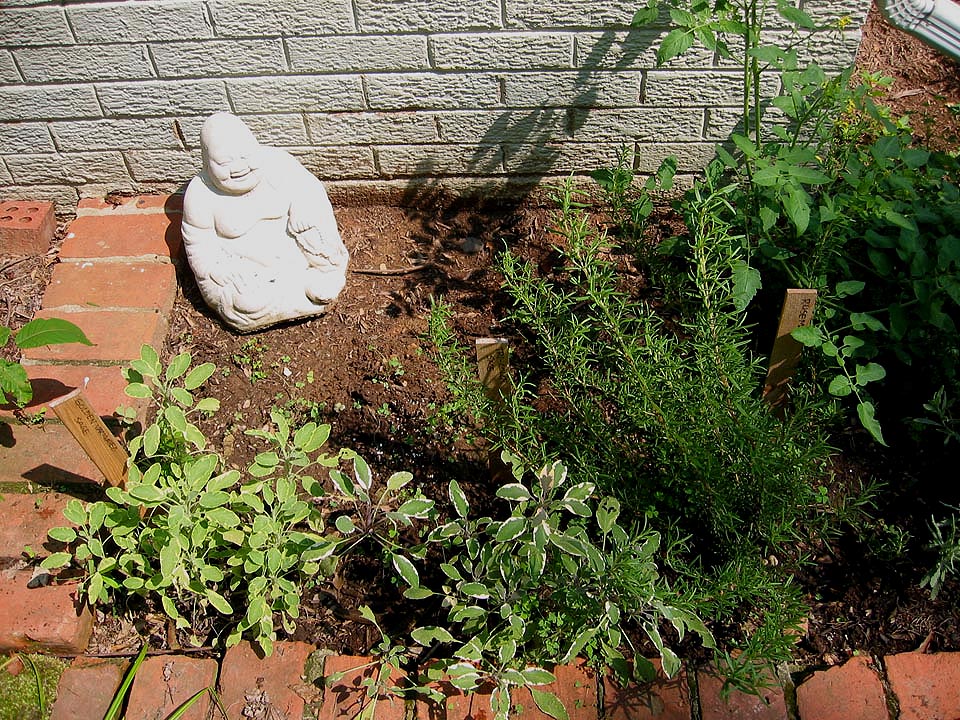 Small herb garden next to building with brick border and a little buddha statue