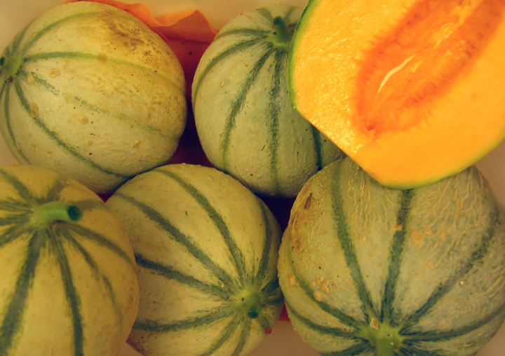 Home grown French melons