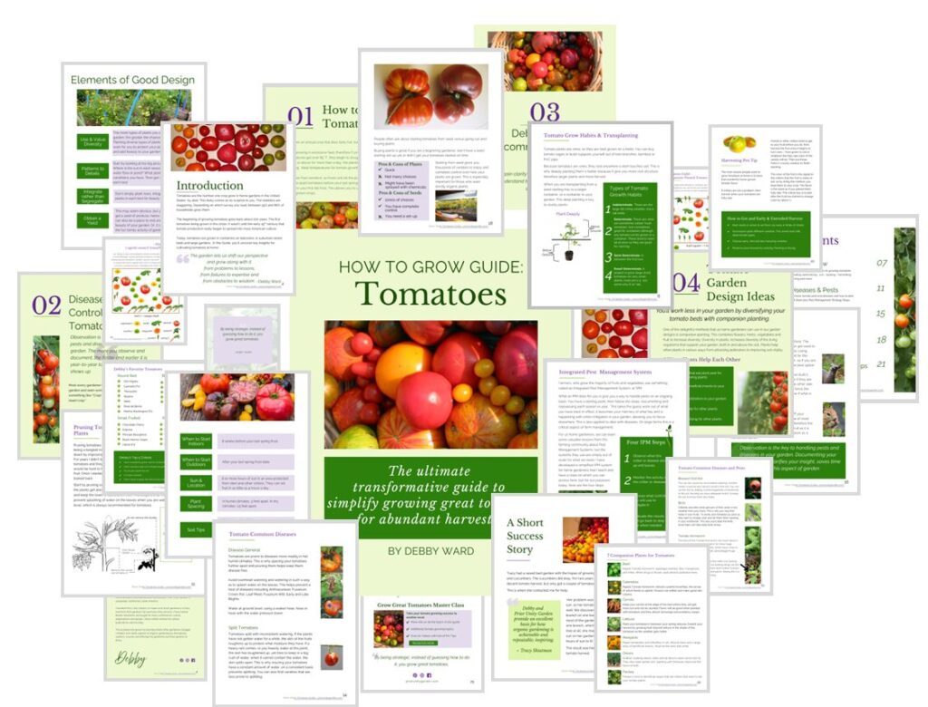 How to grow guide: tomatoes e-book what you get graphic
