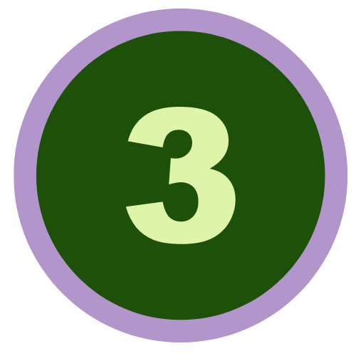 light green number three is a dark green circle with a lavender outline