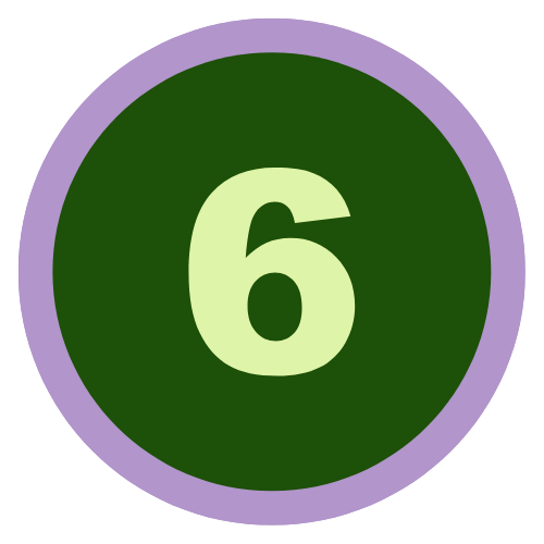 light green number six is a dark green circle with a lavender outline