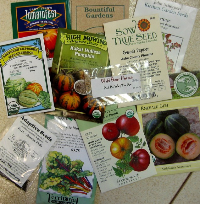 Steps to Create a Simple Spring Seed Starting Plan