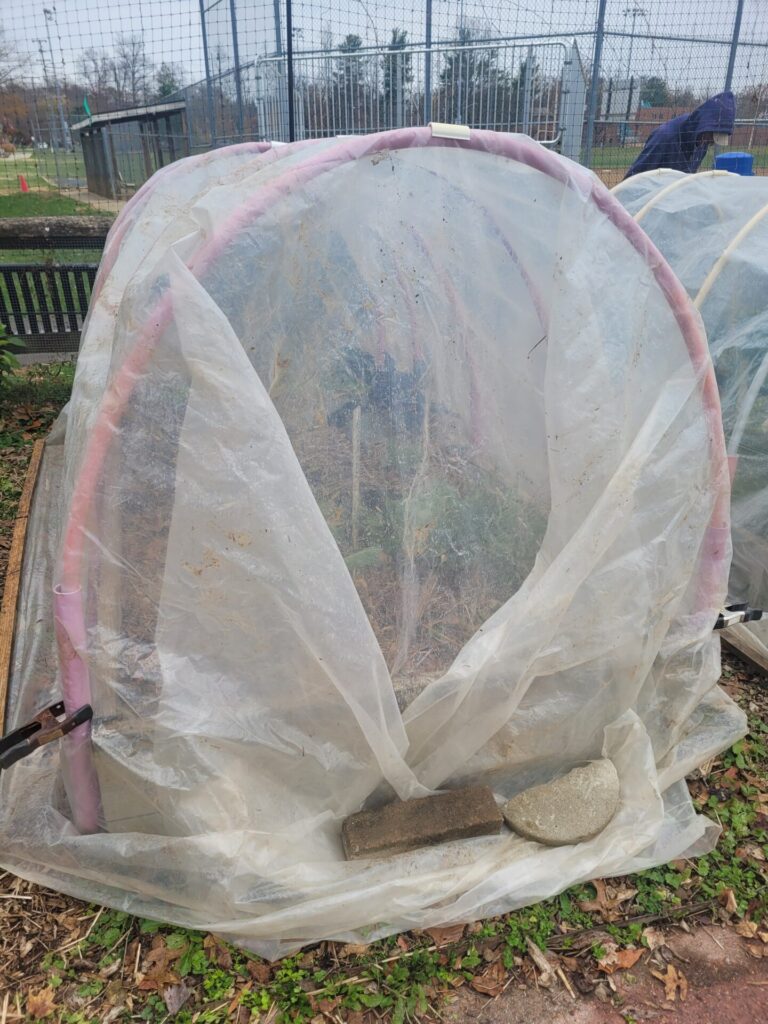 Hoop house covered in plastic and closed against cold weather