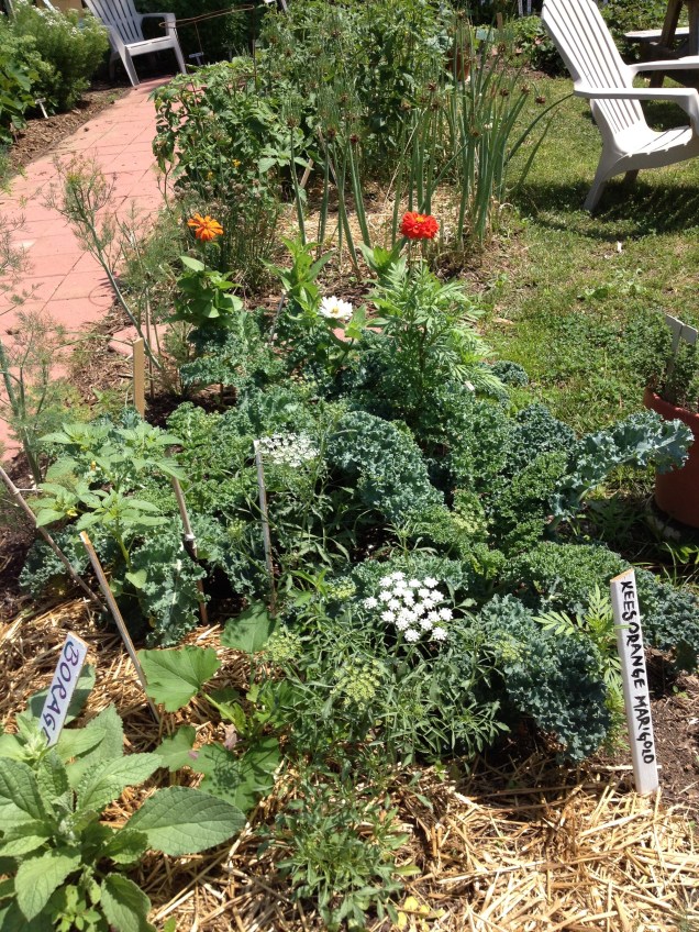 Unveiling the Secrets of Revolutionary Garden Bed Design