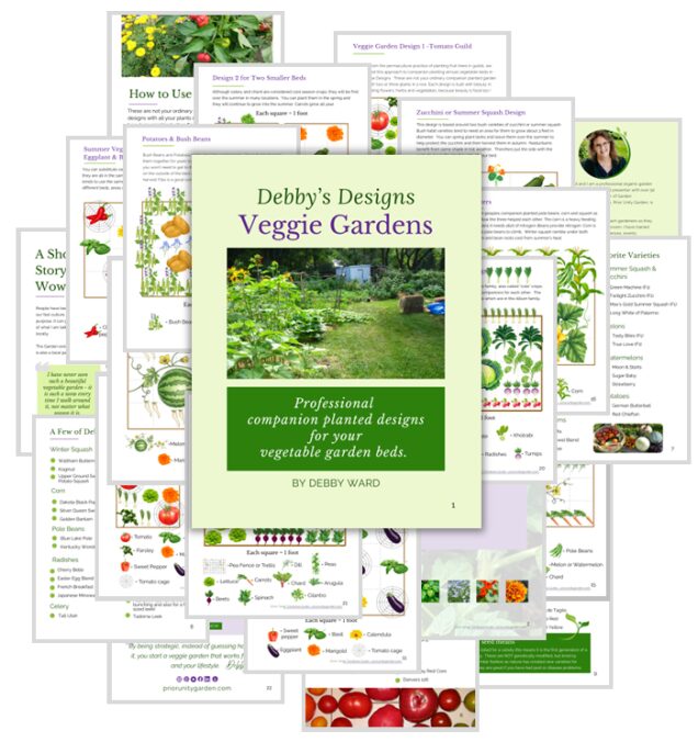 Vegetable Garden Designs by Debby Ward, professional organic gardener, coach, trainer and designer 