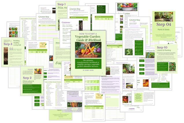e-book, how to start a vegetable garden guide and workbook what you get graphic