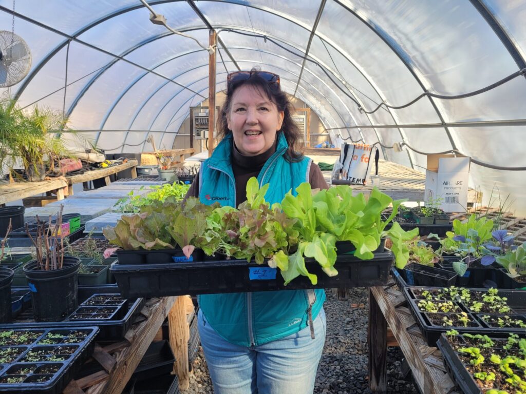 Debby Ward, professional organic gardener in the greenhouse holding a flat of lettuce seedlings she grew