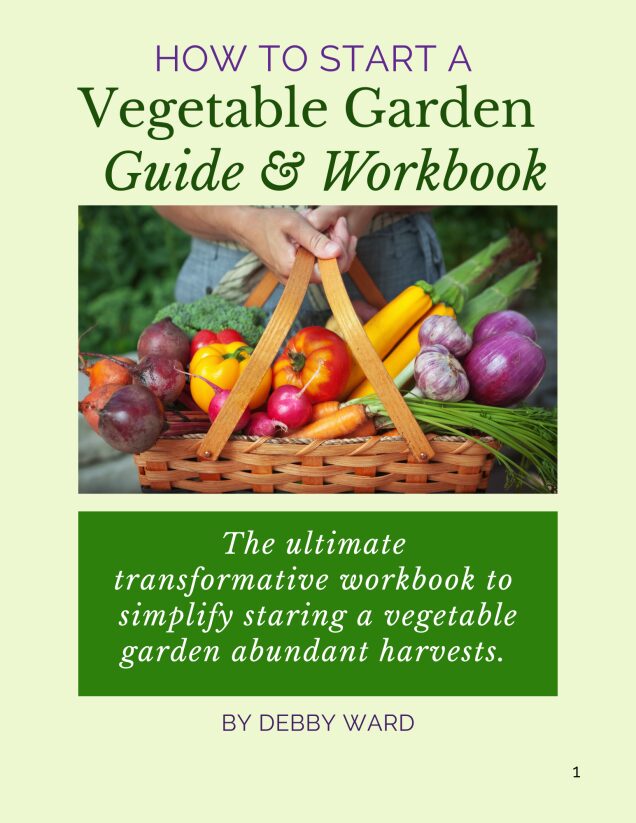 cover image of How to Start a Vegetable Garden Guide and Workbook