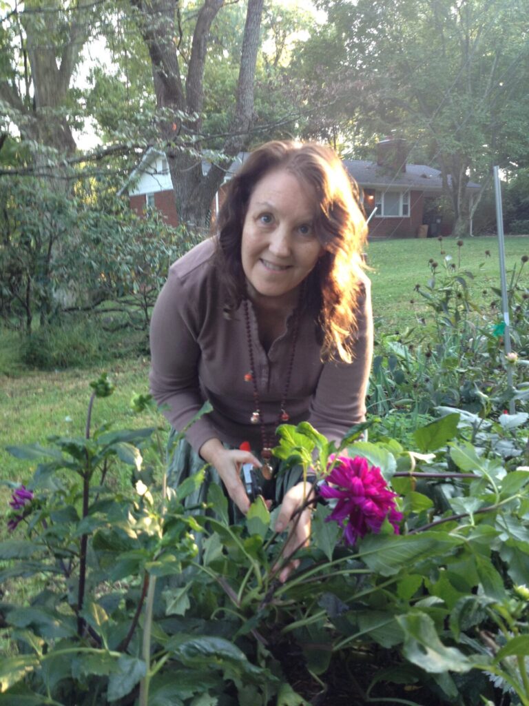 Debby Ward, professional gardener picking dalias