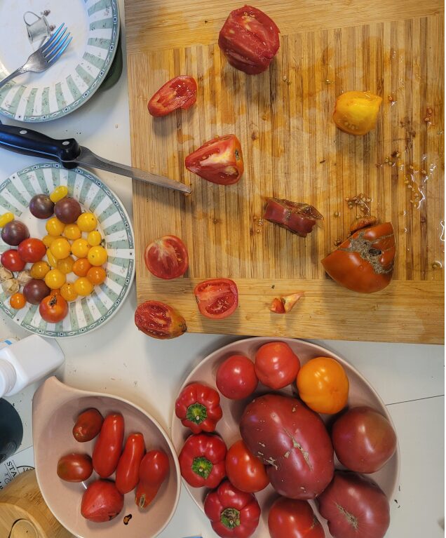 Best Tasting Tomatoes – 2025 Tomato Tasting