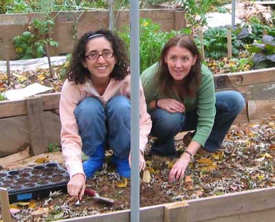 Onsite 30 Minute Garden Coaching Session with Debby
